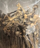 京东京造有机鹿茸菇250g/盒  鹿茸菌菇 南北干货 炒菜煲汤火锅食材 实拍图