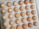 京鲜生鲜鸡蛋20枚/盒 健康轻食 营养健康 2斤/盒 源头直发  实拍图