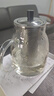 金灶（KAMJOVE）泡茶壶飘逸杯 耐热玻璃茶具功夫办公室花茶壶 茶水分离杯茶壶家用 A-20加长滤篮 1100ml 实拍图