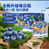三只松鼠每日蓝莓干256g/16包 无添加水果干果脯小包装儿童老人办公室零食 实拍图