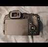 佳能（Canon）EOS R8 全画幅微单数码相机 RF24-50镜头套装（约2420万像素/小型轻量） 实拍图