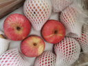 京鲜生 烟台红富士苹果 净重10斤 单果190g以上 生鲜水果 礼盒装 实拍图