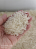 香纳兰 原粮进口大米 泰国香米 纯正泰国香米 10斤 实拍图