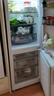 统帅（Leader）海尔出品180升两门二门双开门出租房迷你电冰箱小型不占地家用省电节能LC2-186L9国家补贴15% 实拍图