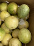 鲜青录广西黄金百香果钦蜜9号新鲜水果黄色白香果西番莲鸡蛋果 1斤（单果40-60g） 实拍图
