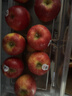 爱妃 美国苹果 巨无霸果9粒装 高端定制水果礼盒 单果220g起 源头直发 实拍图