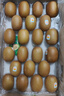 佳沛（zespri）新西兰  阳光金奇异果25-27粒原箱特大果单果约122-146g  猕猴桃 实拍图