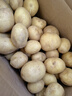 京喜加新鲜黄心土豆农家自种黄皮马铃薯黄心洋芋新鲜蔬菜 9斤 实拍图