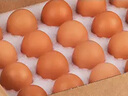 兰皇90-360枚omega-3可生吃食无菌蛋新鲜鸡蛋类糖溏心温泉蛋整箱商业 90枚 实拍图