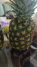 佳农 菲律宾进口菠萝 2个装 凤梨 单果净重2斤 生鲜水果源头直发 包邮 实拍图