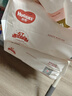 好奇（Huggies）铂金装小桃裤纸尿裤L120片(9-14kg)大号尿不湿【透爽散热】 实拍图