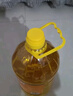 福临门金阙谣 食用油花生浓香食用植物调和油5L*4 新老包装随机发货 实拍图