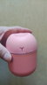 加湿器家用空气加湿器净化器香薰机空调房加湿器喷雾器usb静音卧室孕妇婴儿喷雾宿舍学生女生礼物 标准款【少女粉220ML+纳米雾化+静音加湿】 实拍图