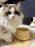 光多拉猫碗陶瓷恒温猫咪饮水机低加热保温酸奶机宠物狗秋冬季恒温喝水碗 实拍图