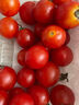 千禧圣女果新鲜小番茄樱桃小柿子孕妇水果现摘现发新鲜蔬菜 新鲜圣女果 5斤 带箱 实拍图