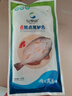 仙泉湖三去斑点尾鲈鱼1斤单条净膛后冷冻肉厚刺少 海鲜水产生鲜食材 实拍图