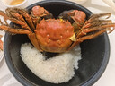 【活蟹】蟹宗鲜活大闸蟹螃蟹现货全母4.0-4.3两8只去绳足重生鲜海鲜礼盒节日送礼礼品 实拍图