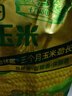 十月稻田 黄糯玉米 3.52斤(220g*8根)  杂粮粗粮 东北玉米 低脂早餐 新米 实拍图