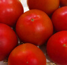 京鲜生 山东海阳普罗旺斯净重4.5斤单果150g起新鲜沙瓤西红柿源头直发 实拍图