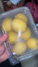 京鲜生 安岳黄柠檬 8粒 单果95-120g 生鲜水果 实拍图
