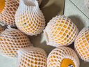 新奇士（Sunkist） 澳洲黑标晚熟脐橙4斤礼盒装 单果180g起 生鲜水果礼盒 实拍图