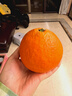 京鲜生 四川爱媛38号果冻橙 净重4.5-5斤 单果120g+ 源头直发包邮 实拍图