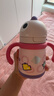 babycare儿童保温杯婴儿宝宝吸管水杯霸王龙不锈钢保温杯300ml-新旧款混发 实拍图