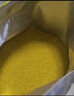 十月稻田 山西黄小米 5斤 25年新米 五谷杂粮 粗粮 早餐小米粥 实拍图