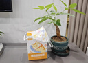 超亚 医用外科口罩3d立体儿童口罩3-6岁防过敏独立包装卡通30只/盒 实拍图