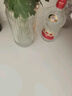剑南春 水晶剑 52度 1000ml（1L）单瓶装 浓香型白酒 实拍图