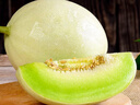 京鲜生 玉菇甜瓜 2粒装 单果重2-2.8斤净重4-5.5斤 生鲜水果礼盒 实拍图