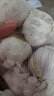 大蒜头出口品质网兜紫蒜蔬菜调料新鲜大果烧烤火锅食材 【精品网兜装】1斤装 450g 实拍图