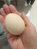京鲜生【每日鲜蛋】无抗谷物鸡蛋30枚 3.18斤 当日产蛋 当日发货 实拍图