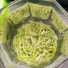 福茗源茶叶 云雾绿茶新茶明前春茶花果香浓香端午节礼盒送长辈2罐共500g 云雾绿茶礼盒 500g*1盒 实拍图