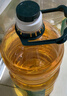 西王 食用油 玉米胚芽油 5L 非转基因物理压榨（新老包装交替发货） 实拍图