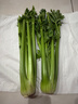 新鲜出土西芹大颗半叶绿色蔬菜榨汁专用甜脆嫩心时令蔬菜现割现发 2斤西芹超值装 实拍图