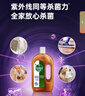 滴露（Dettol）洗衣消毒液衣物消毒水750mL除螨 家居地板杀菌 非84甲流感 实拍图