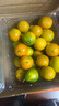 京鲜生 广西脆皮金桔 净重4斤 单果14g+ 金柑新鲜水果 源头直发包邮 实拍图