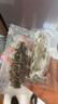辽参大连有机冷冻海参1斤13-15只非即食辽参京东自营旗舰店 固形物85% 实拍图