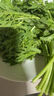大菠菜300g 实拍图