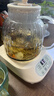 奥特优（AOTEYOU）养生壶炖煮壶一体煮茶壶烧水壶全玻璃养生壶小型一人热水壶迷你养生壶全自动办公室花茶恒温烧水壶 【标准款】120min恒温丨24小时预约丨 1.2L 实拍图