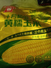 十月稻田 黄糯玉米 3.52斤(220g*8根)  杂粮粗粮 东北玉米 低脂早餐 新米 实拍图