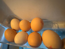 黄天鹅可生食鸡蛋 20枚/2.12斤礼盒装 生鲜鸡蛋京东自营 无抗生素 实拍图
