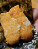 清爵【同款低价】大连新鲜海胆鲜活现剥海胆肉刺身生吃马粪海胆海胆黄 顶配 海胆【300g】180-200块（千人购买） 实拍图