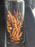 冬虫夏草断草（假一赔十）虫草断草虫草正宗冬虫夏草滋补品保健品 西藏那曲高海拔大断草11克 实拍图