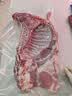 临小夏甘肃临夏土滩羊肉羊腿整根原切现宰现发靖远羊后腿前腿肉火锅食材 精品小羔羊整只*27斤 实拍图