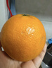 京鲜生 爱媛果冻橙 净重5斤 单果130g起 生鲜水果桔子礼盒 实拍图