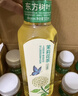 农夫山泉 东方树叶乌龙茶500ml*15瓶无糖茶饮料0糖0脂0卡整箱装解渴饮品 实拍图