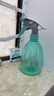 喷壶浇花浇水喷雾器气压式喷水壶家用园艺养花500ml 南瓜喷壶透蓝【1个装】 实拍图