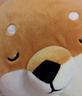 名创优品（MINISO）柴犬系列毛绒公仔趴姿玩具娃娃抱枕睡觉室内卧室办公室生日礼物 实拍图